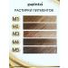 Peinto Mineral pigment for permanent eyebrow makeup M1 - Buy Online on GoSupps.com
