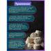 Natural face and body peeling - Rushul - Buy Online on GoSupps.com