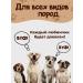 Delicious and crunchy Treats for dogs of beef trachea - Buy Online on GoSupps.com