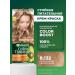 Garnier Hair dye Color Naturals 8.132