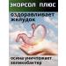 Biolit Tomsk Ecorsol Plus a dietary supplement for the liver against opisthorchiasis and choleretic action - Buy Online on GoSupps.com