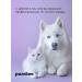 Pamilee Shampoo for white dogs and cats hypoallergenic 444ml - Buy Online on GoSupps.com