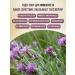 bee lab Saossus controversial (fraternal rubbish) grass 2 pcs. 25 gr - Buy Online on GoSupps.com