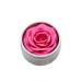 Rosel Cosmetics Glazedrose cream blush and highlighter in a shade of delicate rose - Buy Online on GoSupps.com