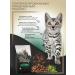 WILDY Adult cat delicate dry cat food 1 kg - Buy Online on GoSupps.com