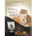 WILDY Adult Cat Sterilized dry cat food 1 kg - Buy Online on GoSupps.com
