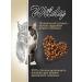 WILDY Adult Cat Sterilized dry cat food 1 kg - Buy Online on GoSupps.com