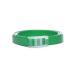 AVZ Four collar with a tail for dogs 65cm (green) - Buy Online on GoSupps.com