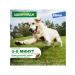 Elanco Advantage Drops for dogs from 4 to 10 kg units. 4 pipettes - Buy Online on GoSupps.com
