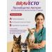 bravecto Flea and tick tablets 2-4.5 kg. STROD 08 2026 - Buy Online on GoSupps.com