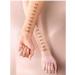 catrice Mating tonal cream n 032 for face - Buy Online on GoSupps.com
