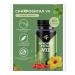 Health of Siberia Chronobiological vision protection
