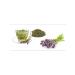 Herbal tea "thyme grass" 20 f p - Buy Online on GoSupps.com