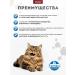 Farmina Vet Life diets. Cat food for renal insufficient 400g - Buy Online on GoSupps.com