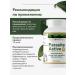 RESTARTBIO Parasit Active 1 Antiparasitic complex 60 capsules - Buy Online on GoSupps.com