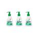 Absolut Liquid soap Nature aloe 250 ml 3 pcs