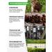 Visterra Chaga birch ground extract 90 grams - Buy Online on GoSupps.com