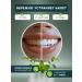 MONDORO Toothpaste whitening without fluorine strengthening and care 100 ... - Buy Online on GoSupps.com