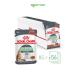 ROYAL CANIN Wet digestive food for cats and cats 85 g x 56 pcs