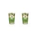 Grandma Agafia's Recipes Nettle shampoo 500 ml 2 pcs