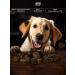 SMAK DOG Beef light delicacies for dogs 100 grams - Buy Online on GoSupps.com