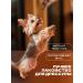 SMAK DOG Beef light delicacies for dogs 100 grams - Buy Online on GoSupps.com