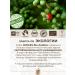minges Natural organic coffee in Bio Arabica grains 1 kg - Buy Online on GoSupps.com