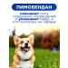 Boehringer Ingelheim Vetmedin s tablets from heart failure in dogs - Buy Online on GoSupps.com