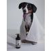 Entle Shampoo for long -haired breeds of dogs and cats premium - Buy Online on GoSupps.com