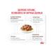 ROYAL CANIN GastroinTestinal Moderate Calorie spiders for cats 28*85 gr - Buy Online on GoSupps.com