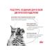 ROYAL CANIN GastroinTestinal Moderate Calorie spiders for cats 28*85 gr - Buy Online on GoSupps.com