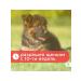 Apicenna Drops are given ultra from ticks and fleas for dogs  - Buy Online on GoSupps.com