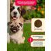 Pet's Brunch Dry food for puppies 4 kg - Buy Online on GoSupps.com