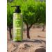 COSMETIERIA Salosulfant shampoo with Argan and Oliva - Buy Online on GoSupps.com