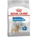 ROYAL CANIN Feed for small dogs prone to a weight set 1 kg