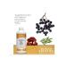Buried Treasure Adult's Daily Immune Wellness 16 in 1 Liquid USA - Buy Online on GoSupps.com