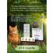 AVZ Dironet 200 anthelmintic for cats 10 tablets - Buy Online on GoSupps.com