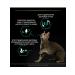 PRO PLAN Dry food for cats turkey 3 kg - Buy Online on GoSupps.com