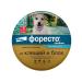Elanco Foresteen collar (up to 8kg) insectoacaricidal for dogs 38cm