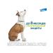 Elanco Foresteen collar (up to 8kg) insectoacaricidal for dogs 38cm - Buy Online on GoSupps.com