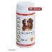 Polidex 0979 Multivitum RLus dogs 500 tablets - Buy Online on GoSupps.com