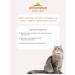 Almo Nature Wet feed HFC Natural for cats Tunette Twes 100 g 12pcs - Buy Online on GoSupps.com