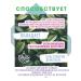 HERBAL HEALER Phytochis "Cleansing" 25 sachets of packages - Buy Online on GoSupps.com