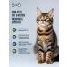 Gina Dry elite food for cats kittens anchous potato 1 kg - Buy Online on GoSupps.com
