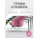 LekraSet Lugovoi clover 60 bags