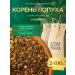 FOREST LINE Burdock root 2 to 100 grams