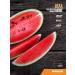 maxler BCAA Plus Glutamine 300g watermelon - Buy Online on GoSupps.com