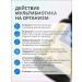 PANPHARMA Probiotics for the intestines of bifidobacteria lacto - Buy Online on GoSupps.com