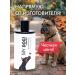 My DOG shampoo for dogs and cats with short wool - Buy Online on GoSupps.com