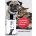 My DOG shampoo for dogs and cats with short wool - Buy Online on GoSupps.com